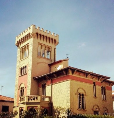 11328297_866958090058674_370914704_n