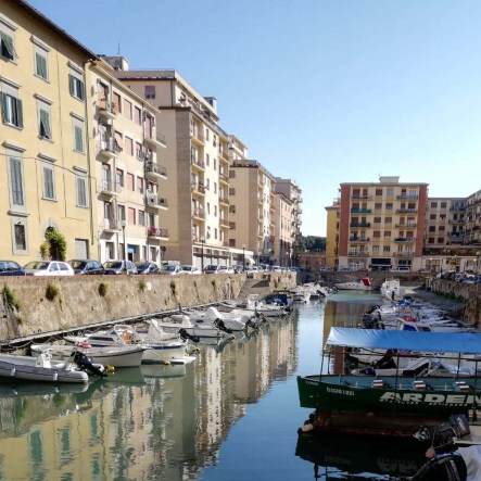 scali del pesce livorno